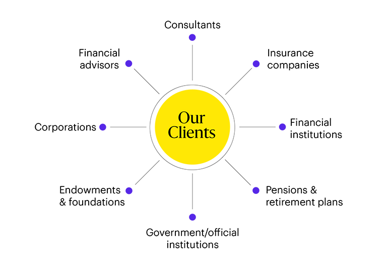 A graphic that described the types of clients Allspring works with: Financial advisors, Consultants, Insurance companies, Financial institutions, etc.