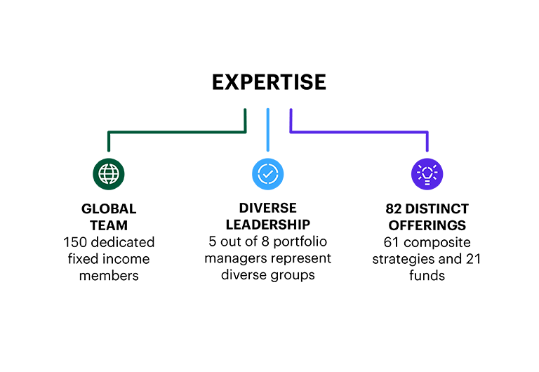 Graphic outlining a global team, diverse leadership and 82 offerings make up our expertise